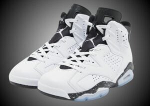 Air Jordan 6 Reverse Oreo White Black 2024